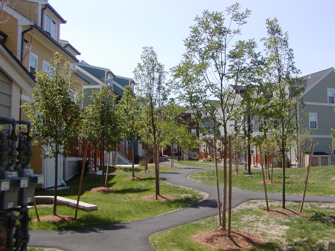 Green space with trees flanked by houses